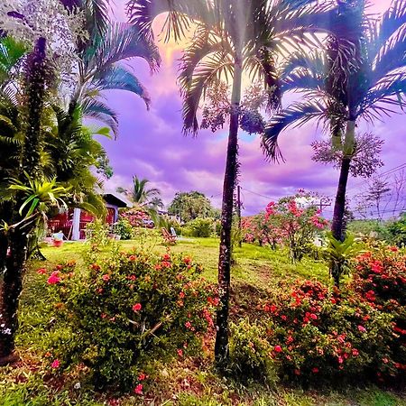 Hotel Tierra De Volcanes La Fortuna Екстер'єр фото