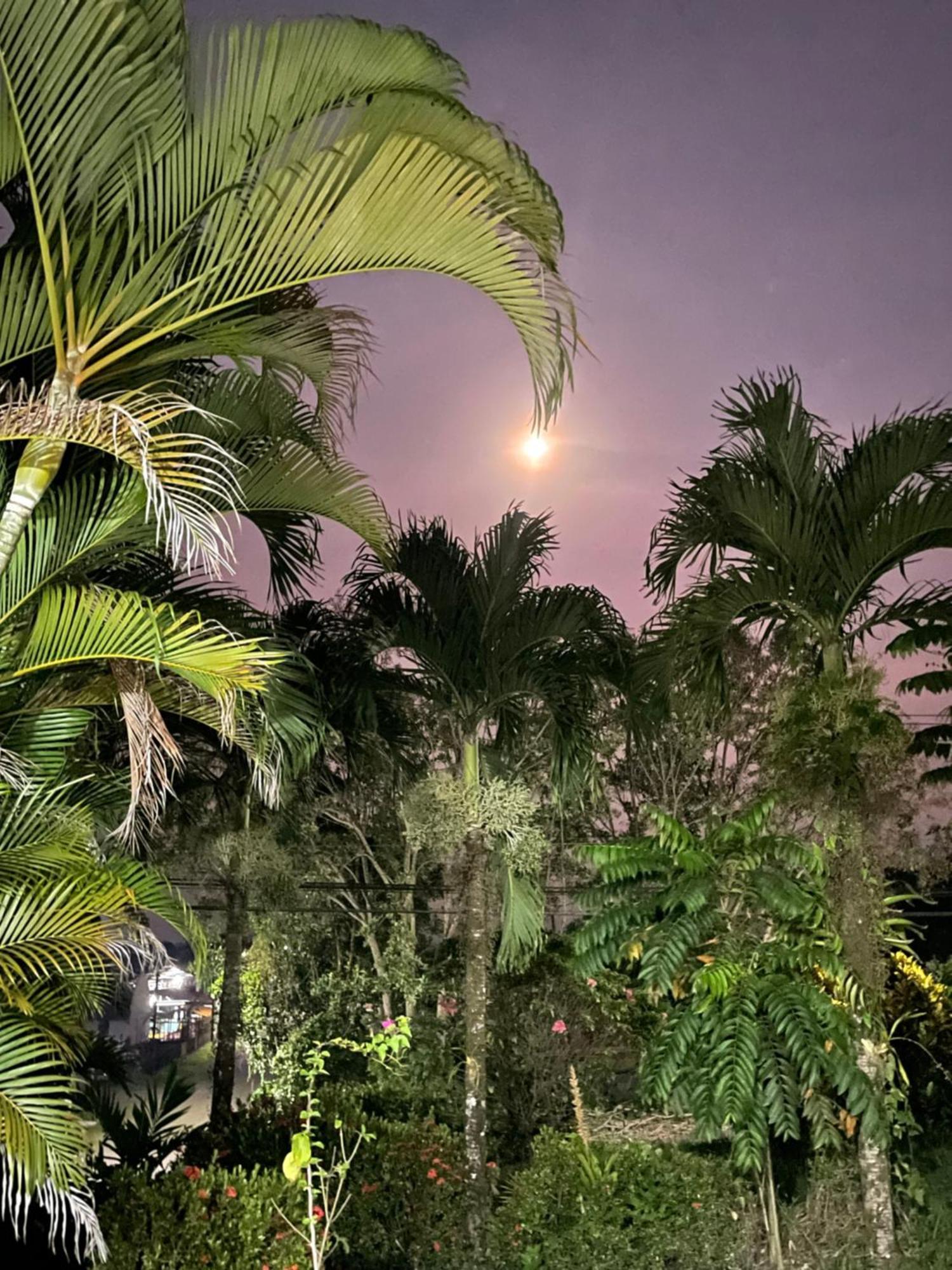 Hotel Tierra De Volcanes La Fortuna Екстер'єр фото