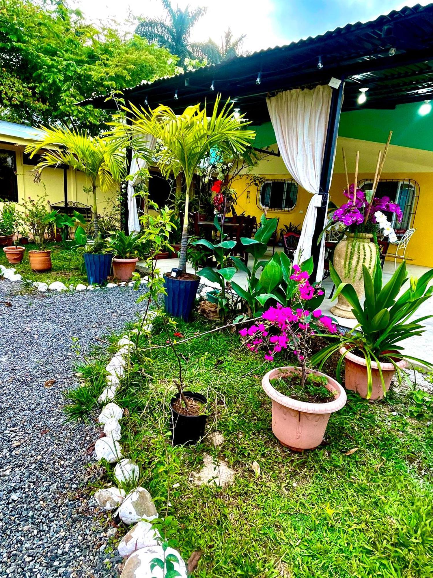 Hotel Tierra De Volcanes La Fortuna Екстер'єр фото