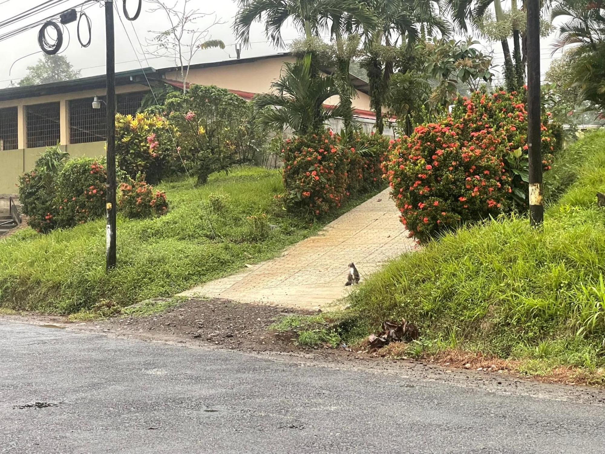 Hotel Tierra De Volcanes La Fortuna Екстер'єр фото